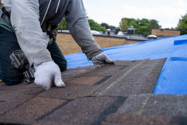 Best Metal Roofing Contractor  in Westover, AL